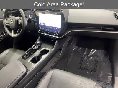 2023 Lexus RZ 450e Premium