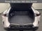2023 Lexus RZ 450e Luxury