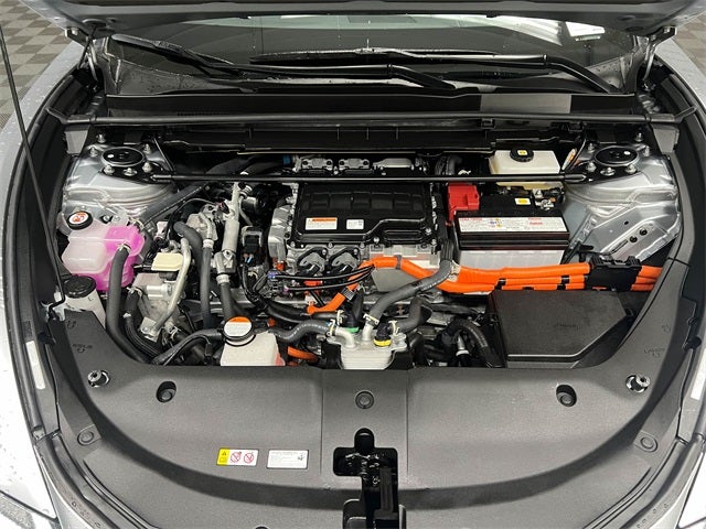 2024 Lexus RZ 300e Premium