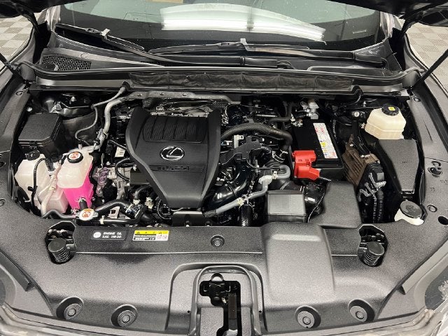 2024 Lexus RX 350 Premium Plus