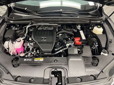 2024 Lexus RX 350 Premium Plus
