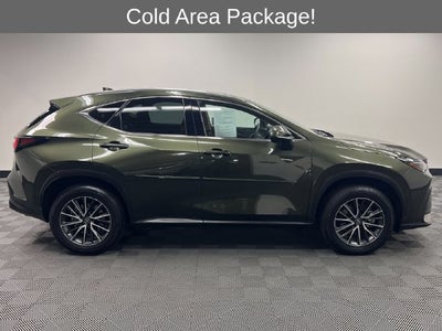 2025 Lexus NX 350h Premium