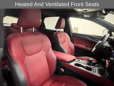 2024 Lexus NX 350h Premium