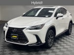 2024 Lexus NX 350h Premium