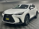 2024 Lexus NX 350h Premium