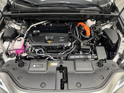 2025 Lexus NX 350h Premium