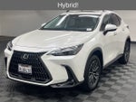 2024 Lexus NX 350h Premium