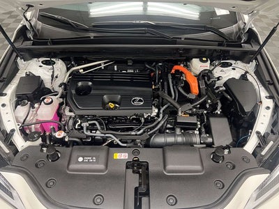 2024 Lexus NX 350h Premium