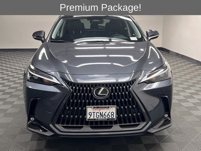 2025 Lexus NX 350h Premium