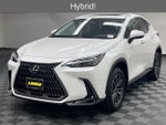 2025 Lexus NX 350h Premium