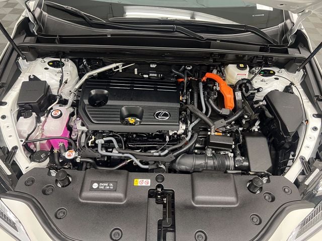 2025 Lexus NX 350h Premium