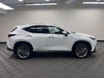 2026 Lexus NX 350h Luxury