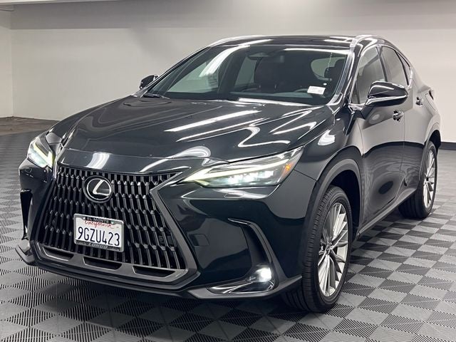 2024 Lexus NX 350h Luxury