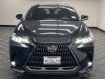 2024 Lexus NX 350h Luxury