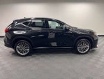 2024 Lexus NX 350h Luxury