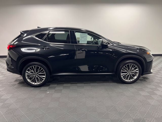 2024 Lexus NX 350h Luxury