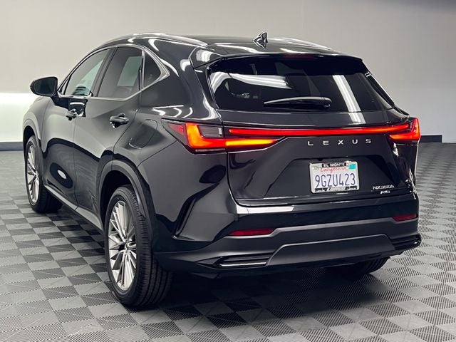 2024 Lexus NX 350h Luxury