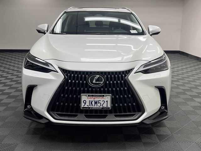 2024 Lexus NX 450h+ Luxury