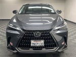 2025 Lexus NX 450h+ Luxury