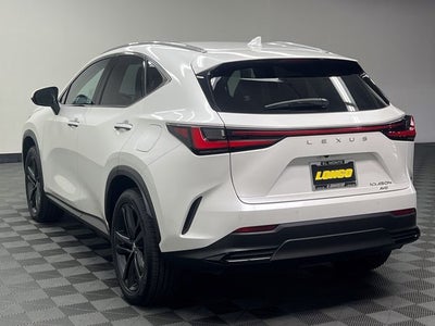 2024 Lexus NX 450h+ Luxury