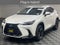 2024 Lexus NX 450h+ Luxury