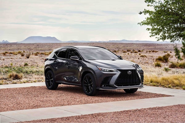 2022 Lexus NX Exterior